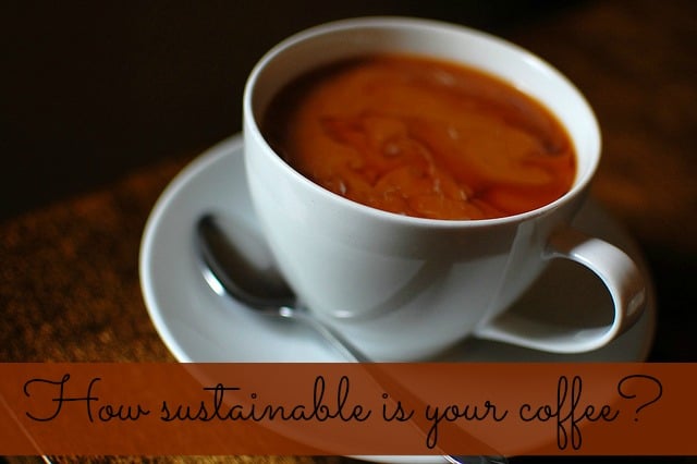 Coffee Talk: How to Make Your Favorite Beverage More Sustainable