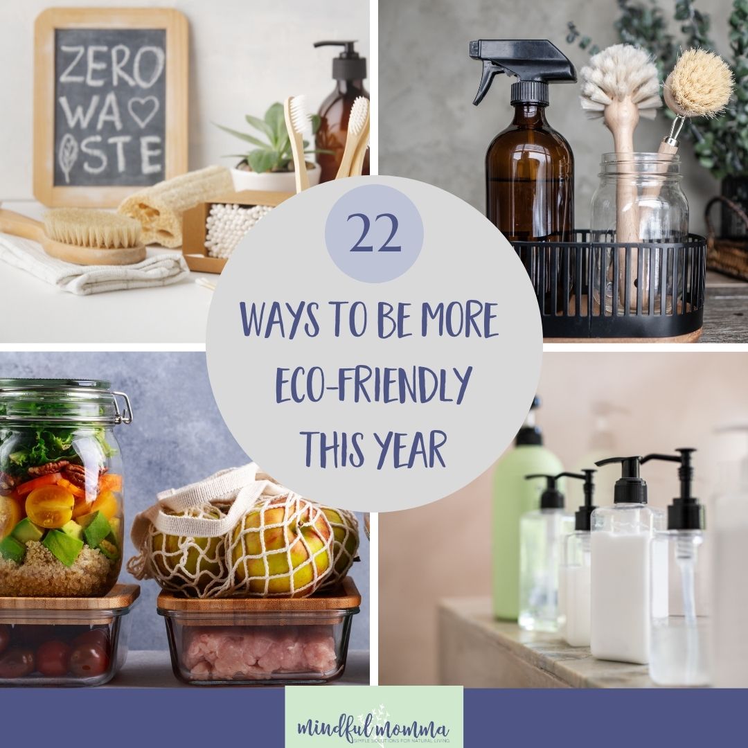 22 Easy Ways to Be More Eco-Friendly (and Benefit Your Health) in 2022