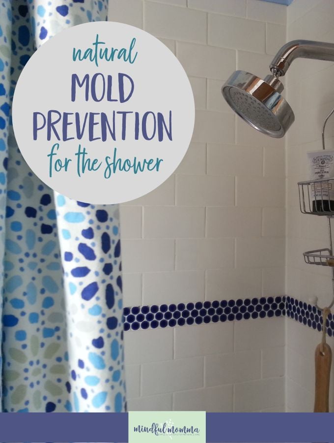 Mold Prevention  