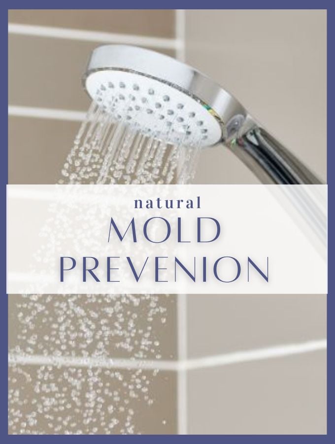 Mold Prevention new.jpg