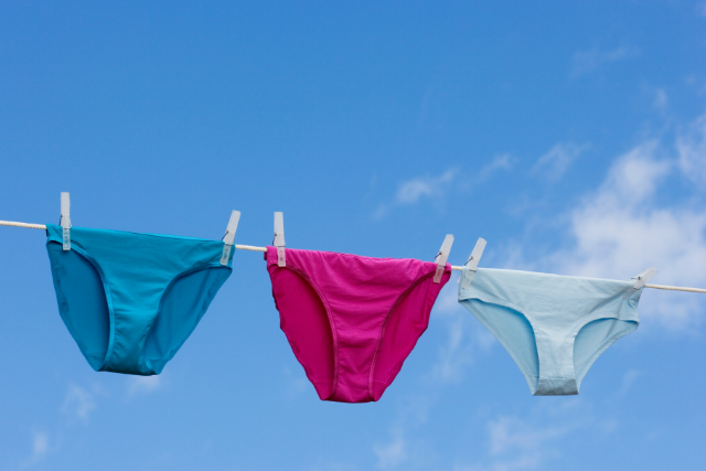 organic underwear on clothes line