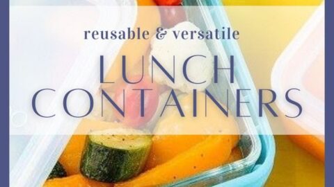 Reusable Lunch Containers