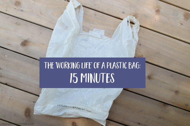 Working Life of a Plastic Bag - How to Reduce Plastic Use