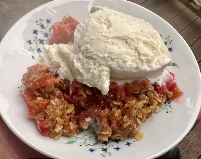 rhubarb-strawberry-crisp-ice-cream